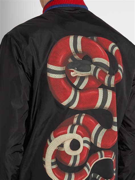 bomber snake gucci